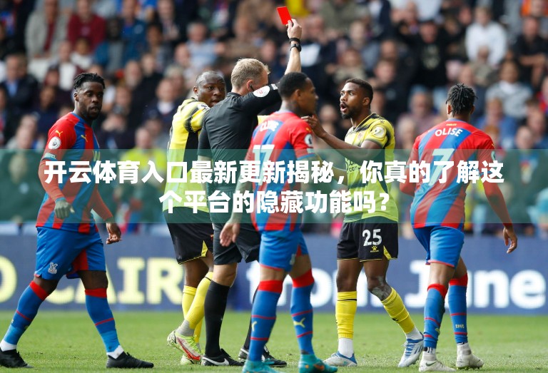 开云体育入口最新更新揭秘，你真的了解这个平台的隐藏功能吗？